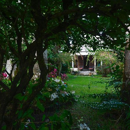 Le Medinilla Bed & Breakfast Bras-Panon Bagian luar foto