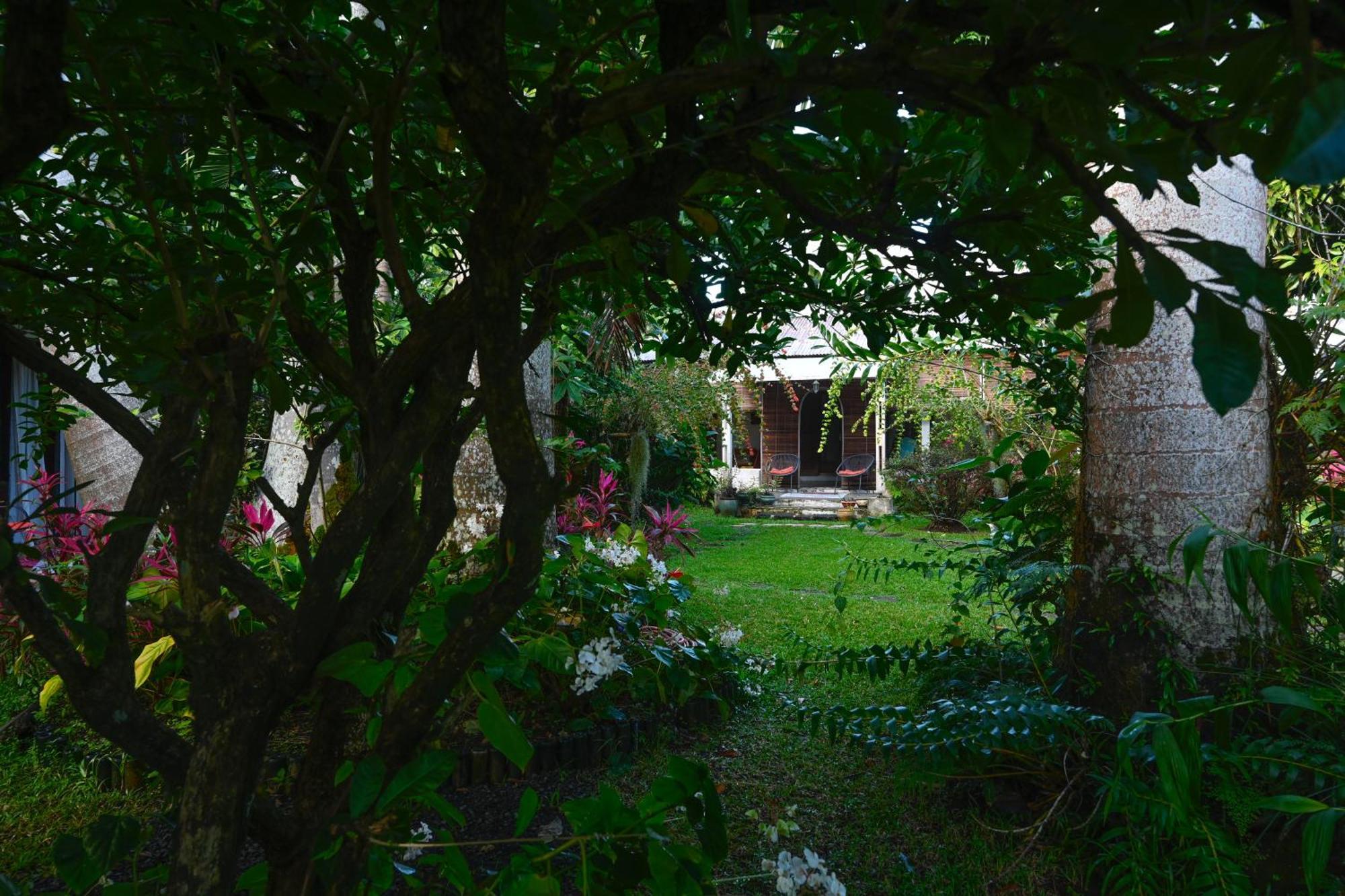 Le Medinilla Bed & Breakfast Bras-Panon Bagian luar foto