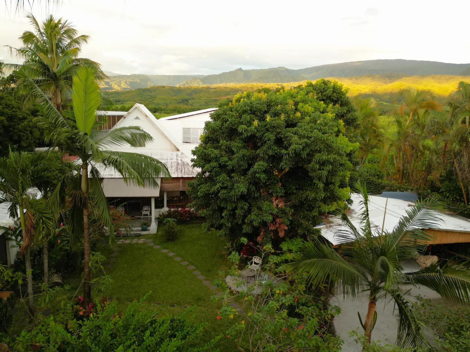 Le Medinilla Bed & Breakfast Bras-Panon Bagian luar foto